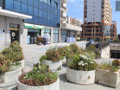 La "pollice verde" ebbe cos� il via libera, ma non si limit� al suo vegetale preferito...